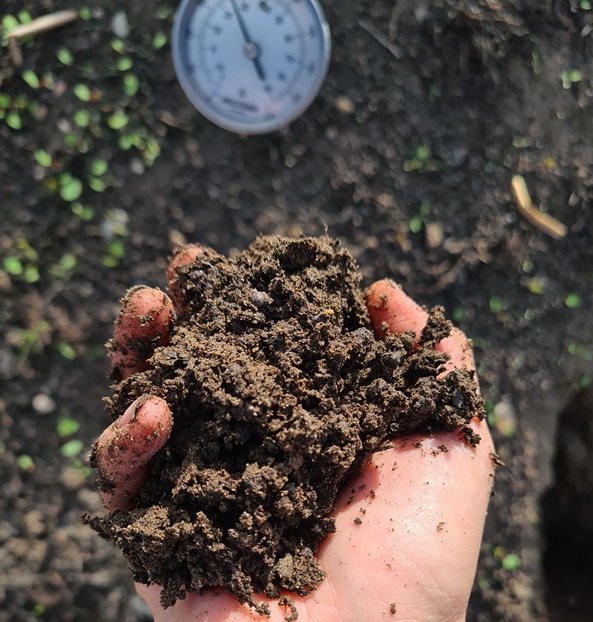 Bousquet compost